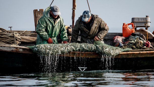 В Азовському морі російські силовики спіймали двох рибалок із «ДНР»