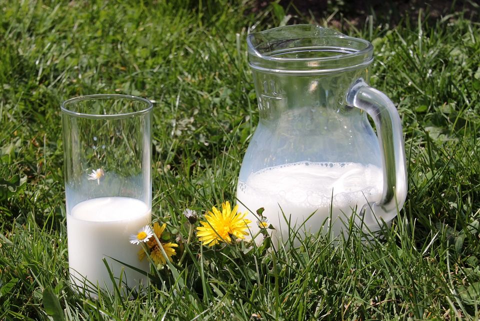 Україна увійшла до топ-10 експортерів молочної продукції