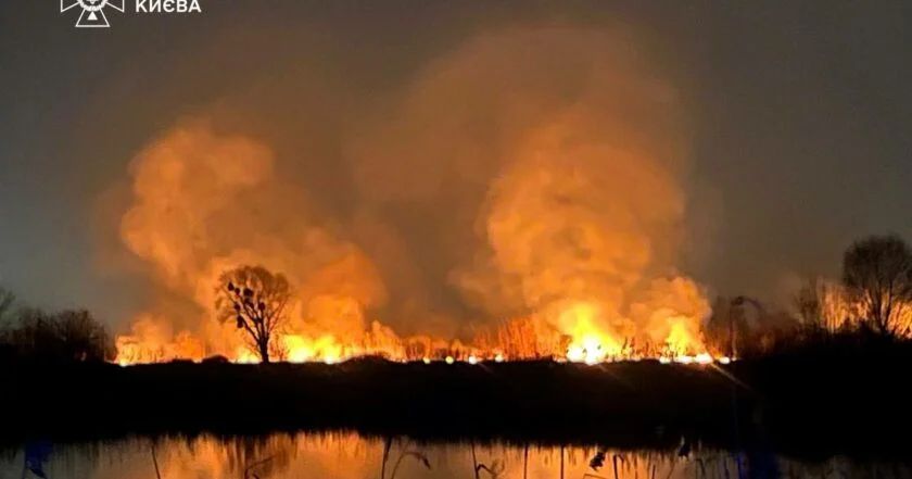 Пожежа на території екопарку «Осокорки»: голова КМВА доручив терміново розібратися з НП біля озера Тягле, фото