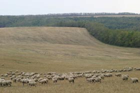 Торгувати не можна відкласти