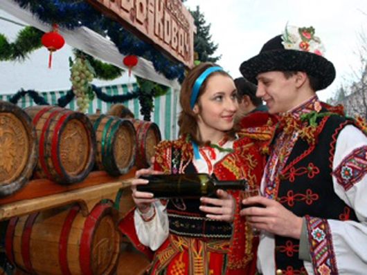 Бізнесмени Угорщини зацікавились розвитком виноробства в Україні