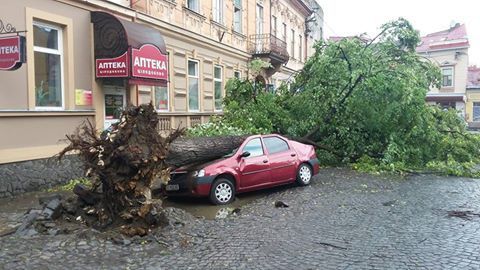 В Ужгороді шалений буревій виривав дерева та трощив авто (фото, відео)