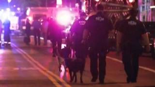 У Нью-Йорку теракт: 29 потерпілих