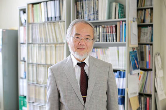 Лауреатом Нобелівської премії з медицини і фізіології став японський учений Йосінорі Осумі