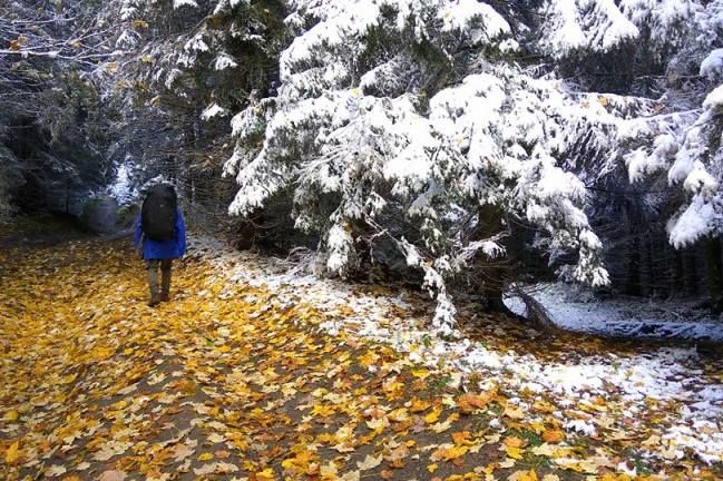 Київ накриє мокрим снігом на Покрову