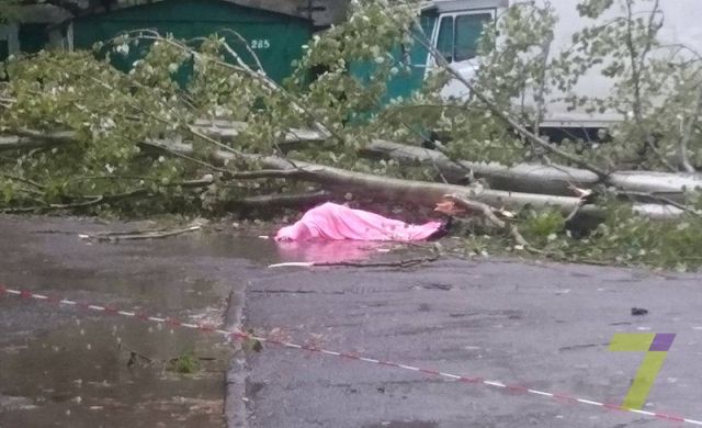 Буревій в Одесі зносив дерева: загинула жінка (фото, відео)