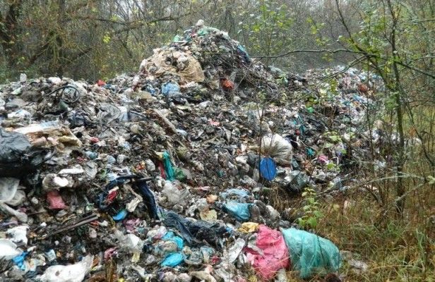 Львівське сміття раптово виявили в заповіднику на Житомирщині