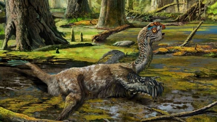 У Китаї знайшли у багні невідомого динозавра