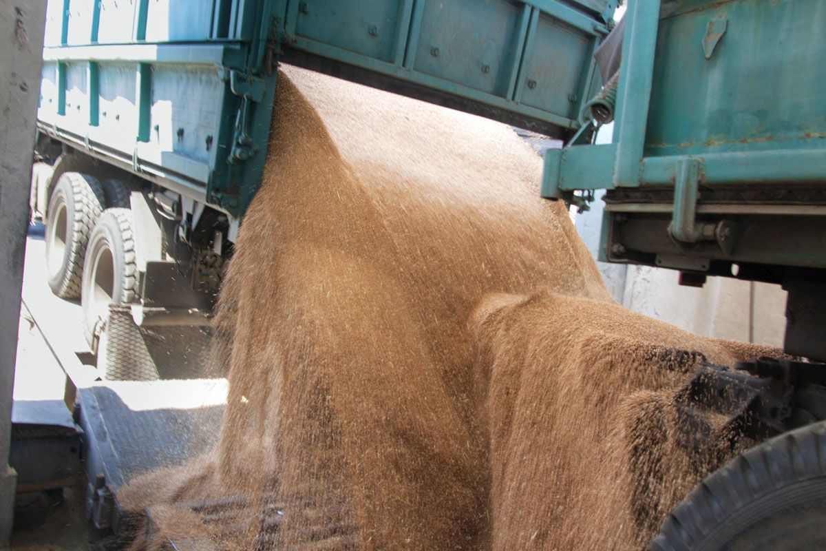 Українські експортери пшениці вичерпали 76% квот Євросоюзу на 2017 рік