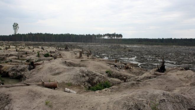 Верховна Рада відмовилась легалізувати видобуток бурштину