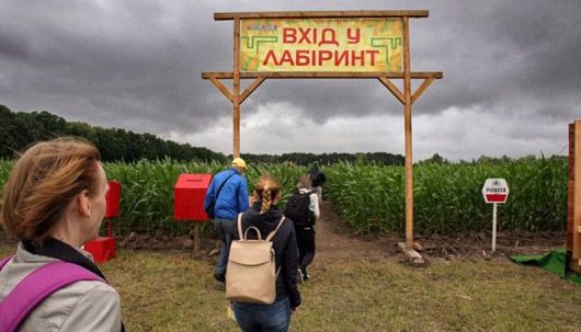 У Києві на кукурудзяному полі створили гігантський лабіринт у формі мапи України