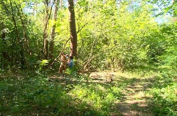 У лісі на Житомирщині підірвався чоловік (фото)