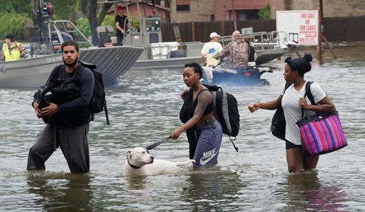 Голлівудські зірки жертвують мільйони доларів на порятунок затопленого Техасу