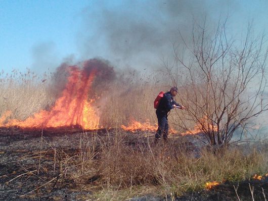 На Харківщині «зеленим» активістам довелось власноруч гасити пожежу у заказнику «Ковиловий степ»