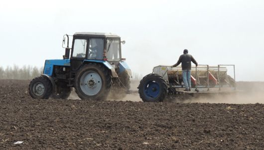 Українські аграрії засіяли вже понад 90% весняних площ