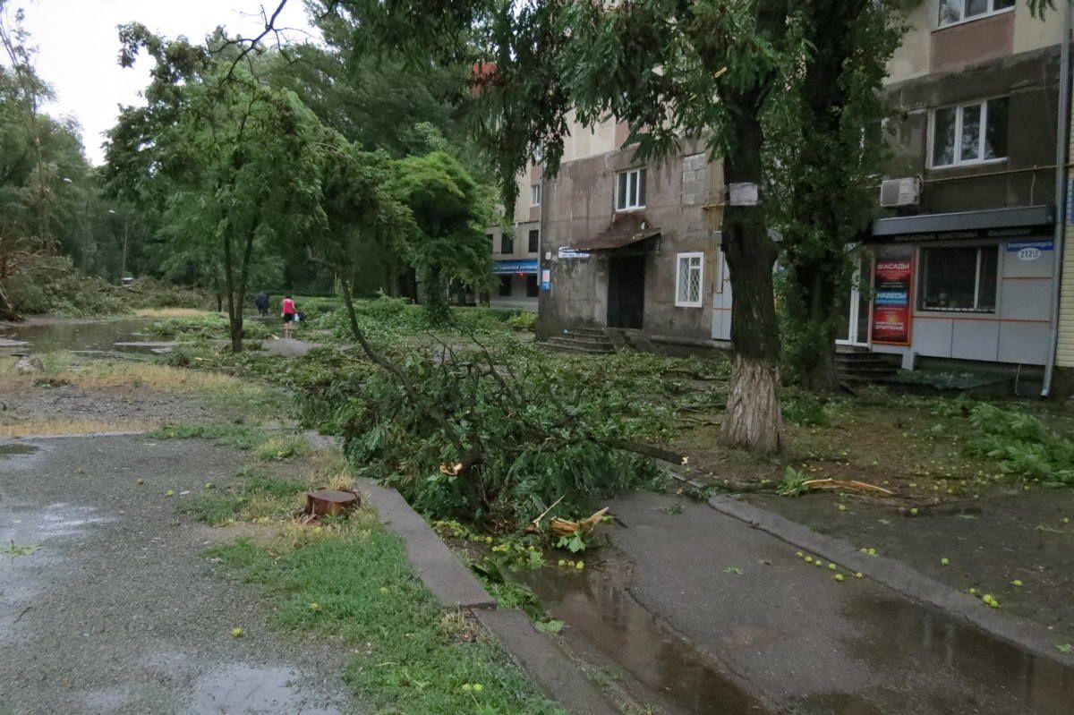 На Дніпропетровщині буря повалила півтори сотні дерев та зірвала дахи із будівель (фото, відео)