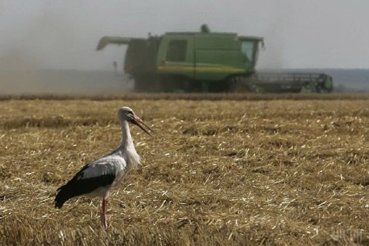 Радянська спадщина: чому більшість аграріїв не готові до вільного обігу землі