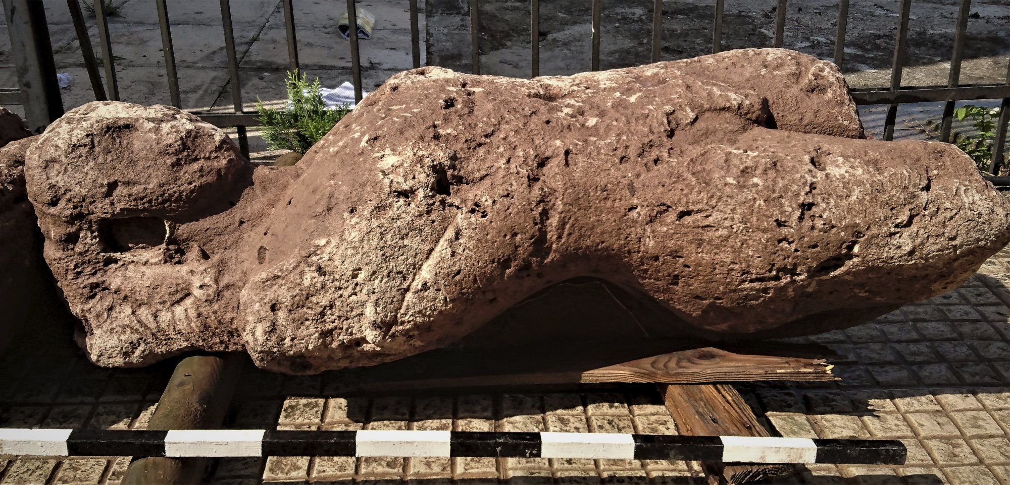 У Греції фермер відкопав на полі античні статуї (фото)