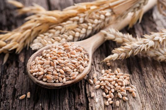 Внутрішні ціни на ячмінь і кукурудзу занижені, а пшениця скрізь у тренді