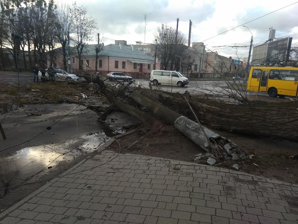 Нeгода у Львові: вітер повалив дерева та зірвав дах з будинку