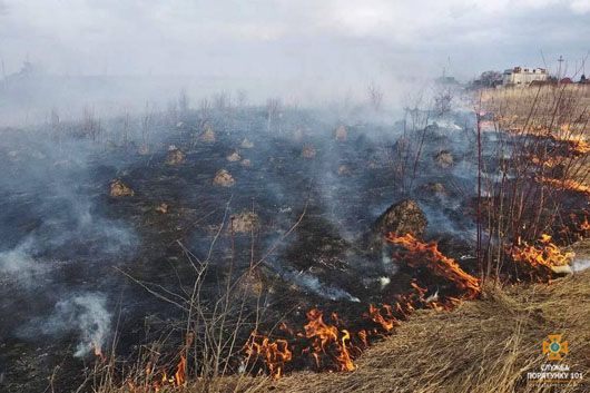 Україна вже потерпає від масштабних пожеж через спалювання трави