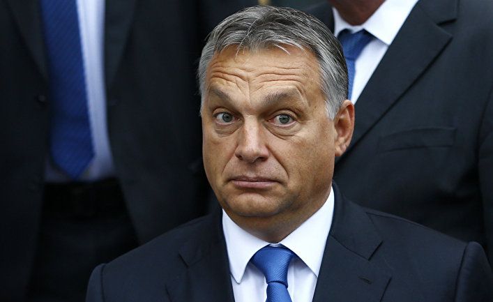 Польський політик Нітрас: Орбан пропонував Польщі поділити територію України