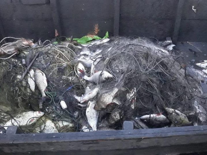 У Кременчуцькому водосховищі під час нересту виявили 23 браконьєрські сітки з рибою