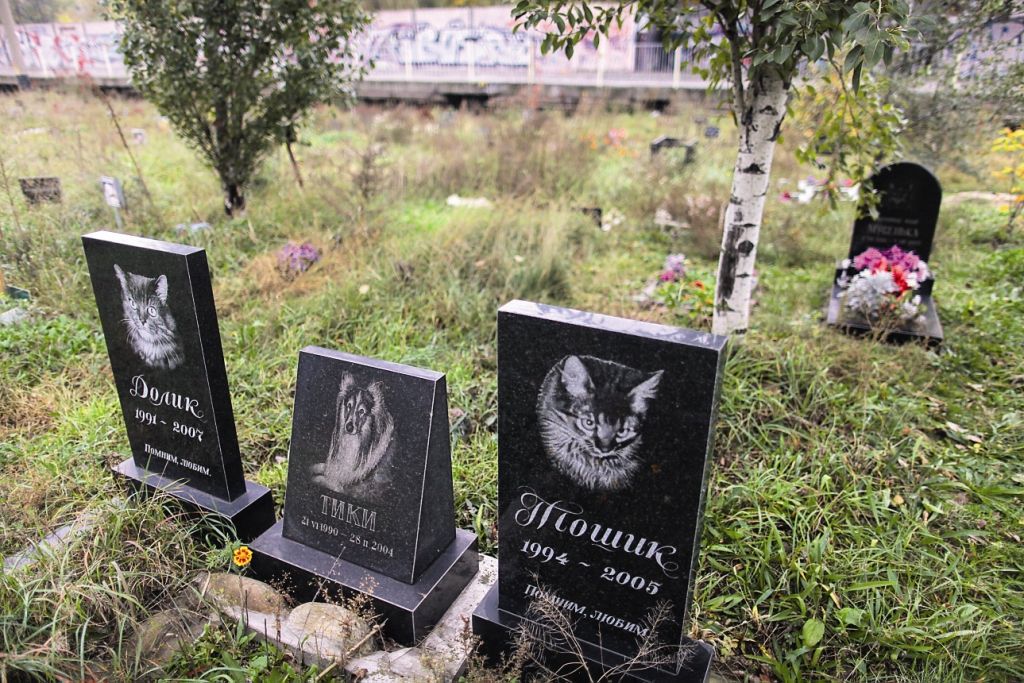 Не заривайте як собаку: у Києві досі не облаштували комунальне кладовище для домашніх улюбленців