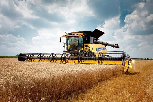 Черкащани планують зібрати 4,2 млн тонн зернових i зернобобових