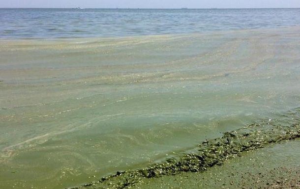 В Одесі на 5 пляжах вода не відповідає санітарним нормам