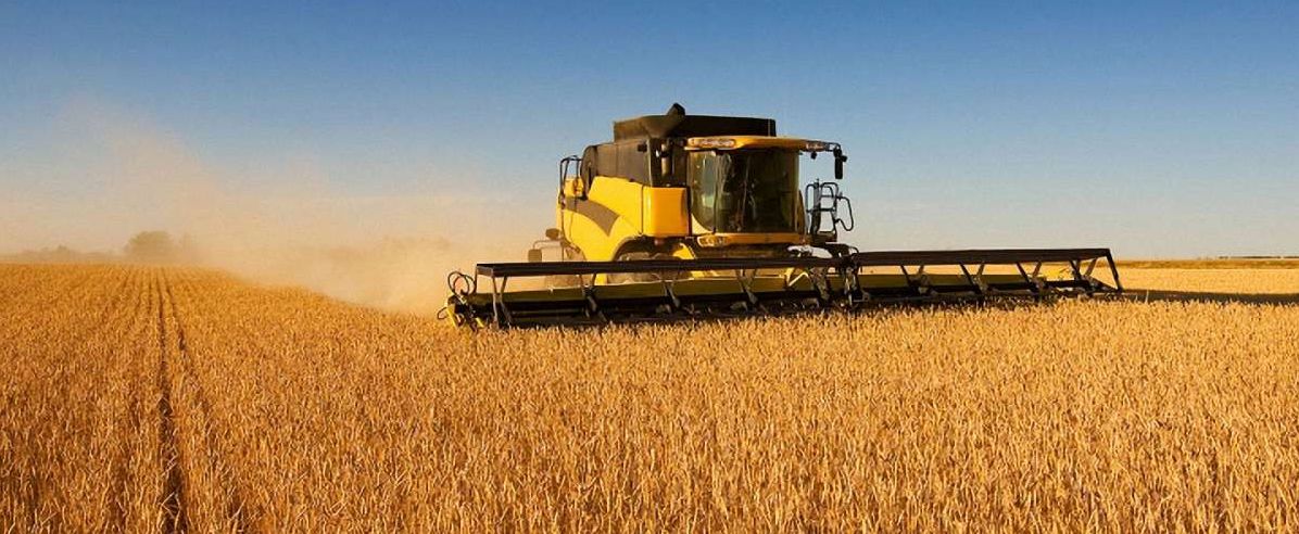 В Україні проблеми з вивезенням рекордного врожаю зерна