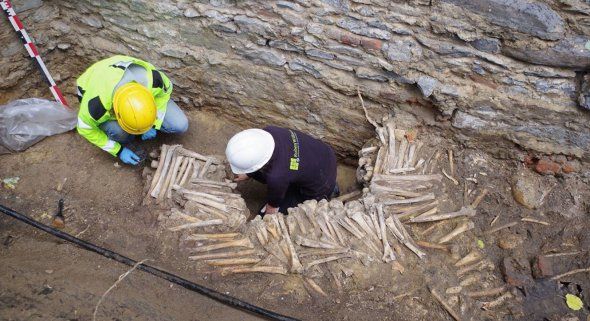В Бельгії під церквою виявили стіну з людських кісток