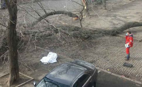 Негода в Одесі: дерево вбило жінку