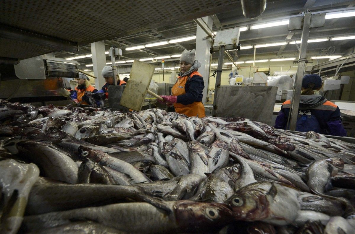 Молдова і Данія купують найбільше української риби