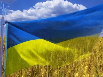 В Україні підтверджено уже 29 випадків COVID-19