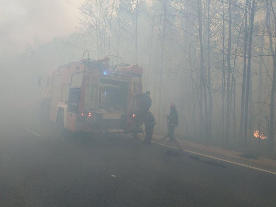 На півночі Житомирщини охоплено вогнем вже дев’ять лісгоспів