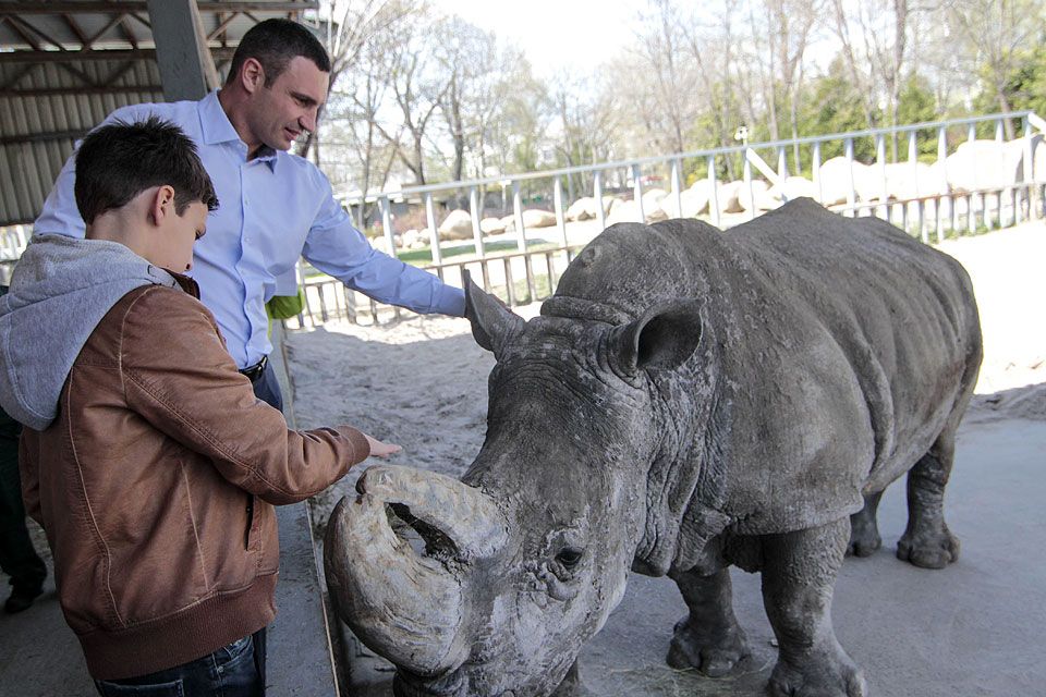 Київський зоопарк прийматиме відвідувачів 23 травня