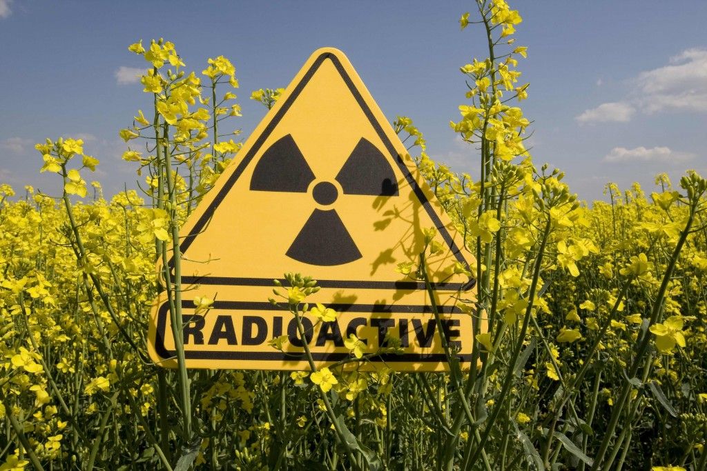 На півночі Європи поруч з кордоном Росії підвищився рівень радіації