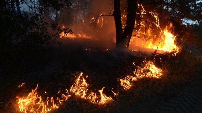 Пожежі на Луганщині: уряд виділив постраждалим майже 2,3 млн гривень