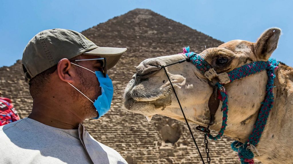 В Єгипті детально розписали вимоги щодо тестування туристів на коронавірус