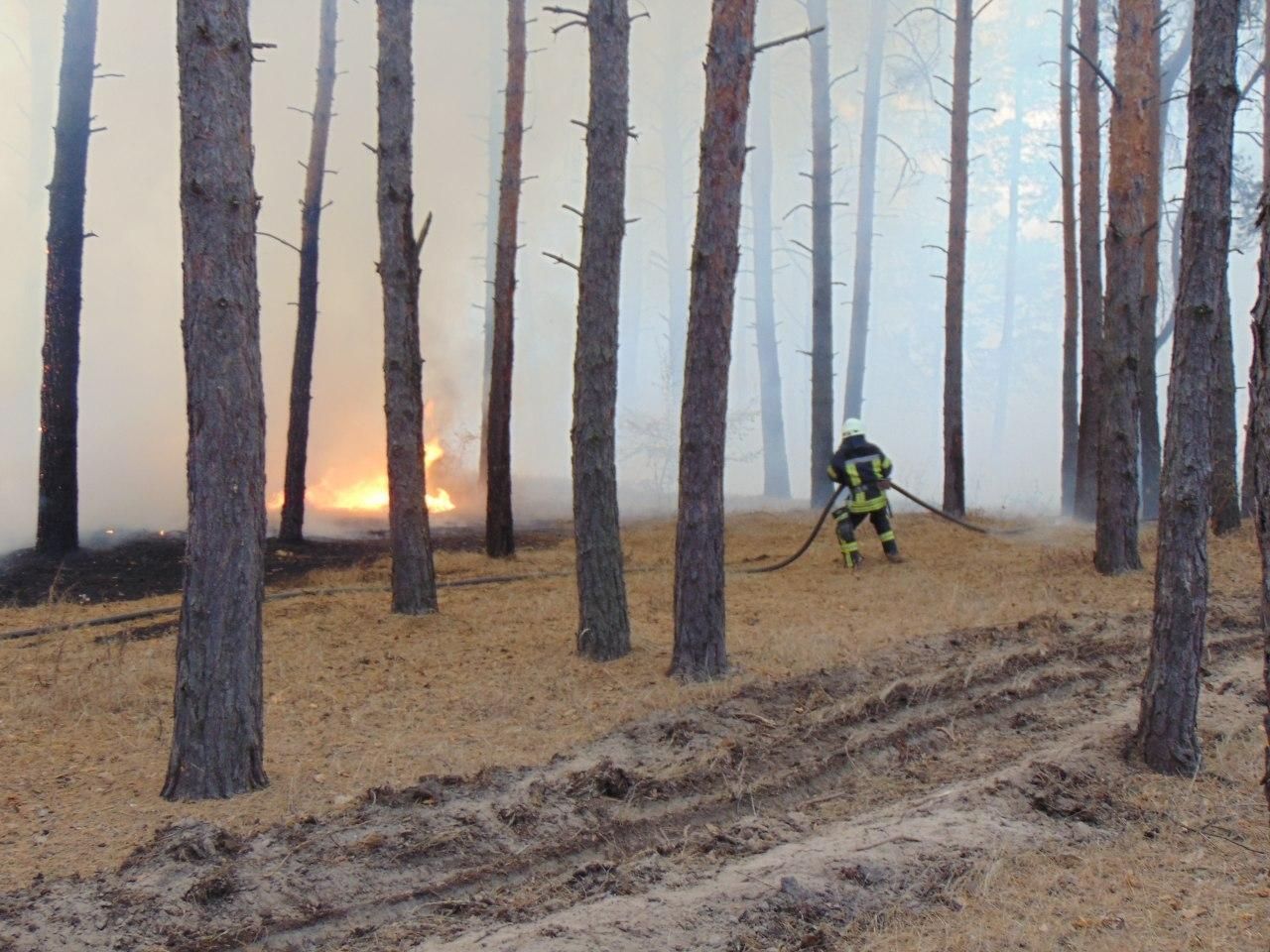 На Луганщині евакуюють селян через масштабні пожежі