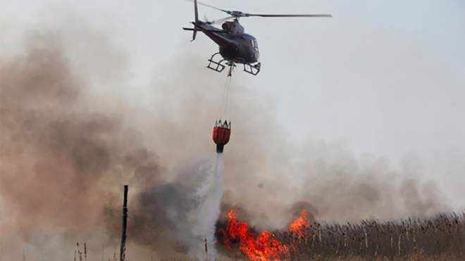Пожежа на Луганщині: залучена авіація, бойовики обіцяли не відкривати вогонь