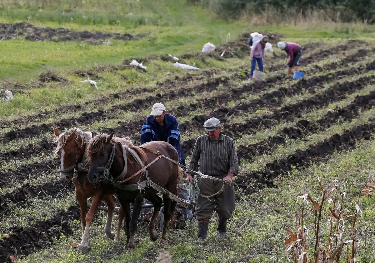 Закон гектара: чому Україна поки не готова до відкриття ринку землі