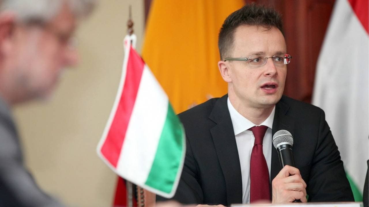 Втручання в українські вибори: МЗС викликало посла Угорщини