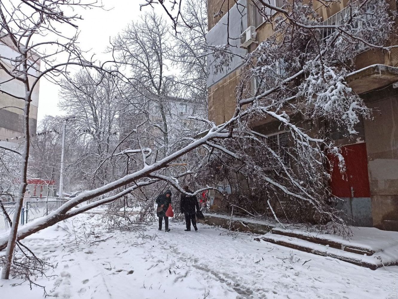 Циклон «Ларс» влаштував сніговий апокаліпсис у центрі та на півдні України