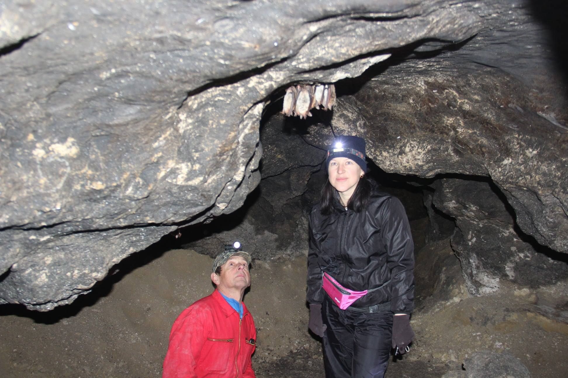 Родичі Бетмена: у печерах на Тернопільщині обліковують кажанів