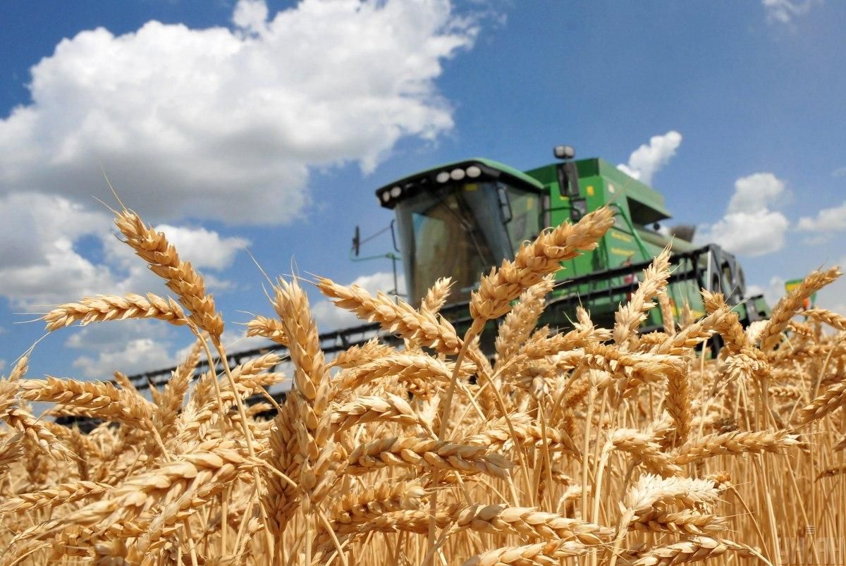 І уявити не могли: через низький врожай Україна збільшує імпорт зернових із Білорусі
