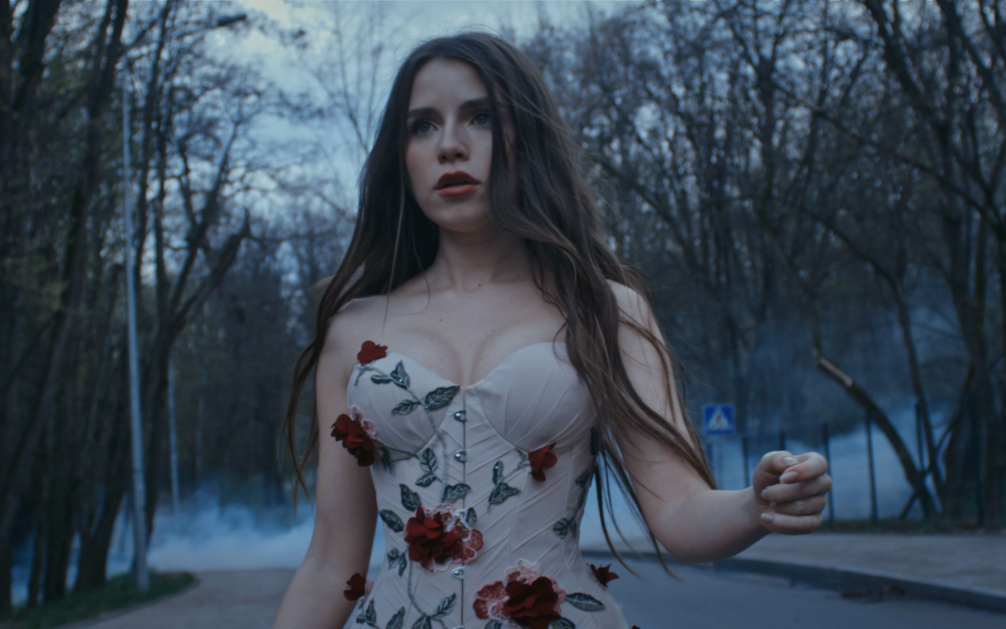 Христина Соловій випустила кліп «Втікала» і анонсує альбом Rosa Ventorum