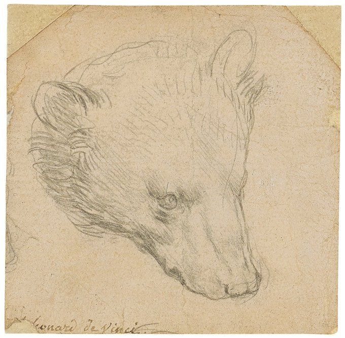 Малюнок Леонардо да Вінчі «Голова ведмедя» продали за $12,2 млн