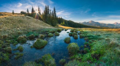 В Україні стартував е-кадастр заповідників і природних парків